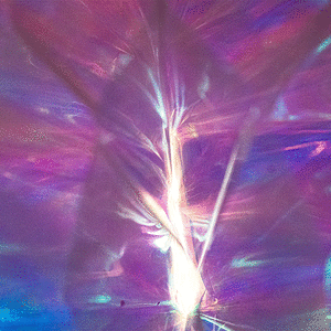 P9110071-1.gif