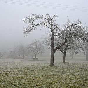 Nebel_Zf_DSC0379_1200x800x150.jpg