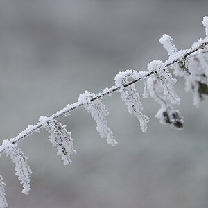 Winter_Zf_DSC0384_1200x800x150.jpg