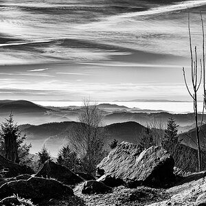 Kniebis Januar-5328-Bearbeitet.jpg