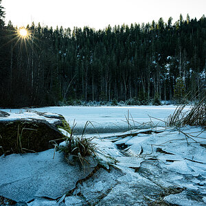 Kniebis Januar-5347.jpg