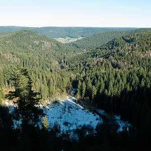Kniebis Januar-5355.jpg