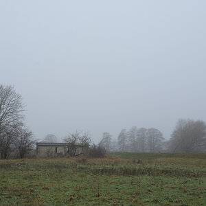 DSC_2645.JPG
