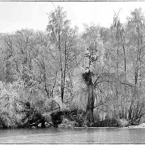 Eisinsel_BW.jpg