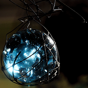 P1240006.gif