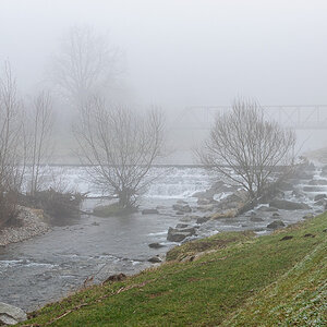 20250121-DSC_8434.jpg
