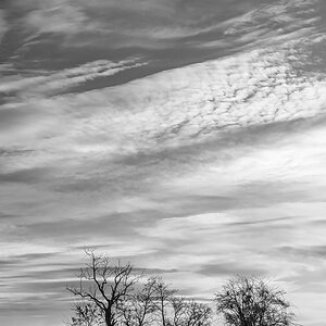 OF2_71837sw.jpg
