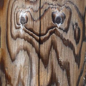 Holzgeist 1.jpg