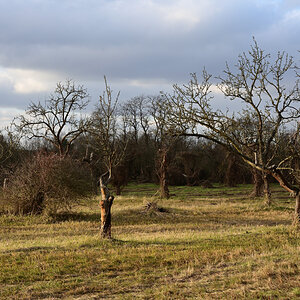 DSC_2550.JPG