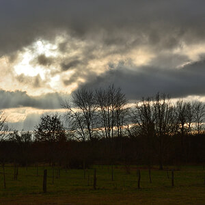 DSC_2554.JPG