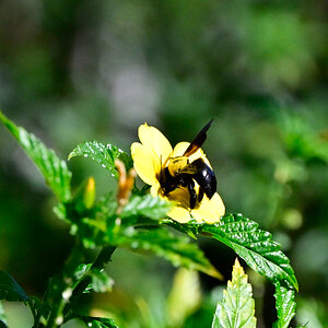 _U011728-crop1200x900.JPG