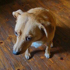 2025-01-29_11-46-26_DSC-RX100M5A_000_1000.jpg