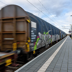 OF2_72343.jpg