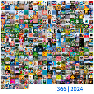 366 | 2024 Jahresmosaik