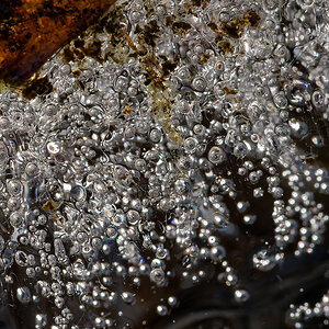 N2020063nikon.jpg
