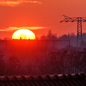 OF5_48180.jpg