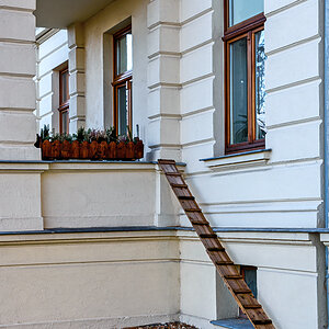 OF2_72180.jpg