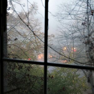 ausblick