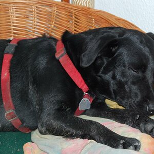 Bilder5 117