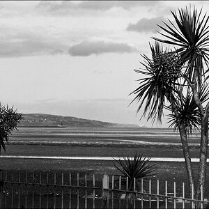dublin bay