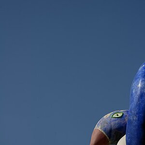 Minima 01