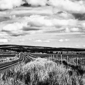 open range