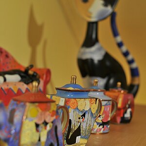 DSC 4963