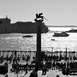 20081105 105618swVenedig