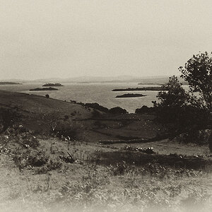 dingle bay