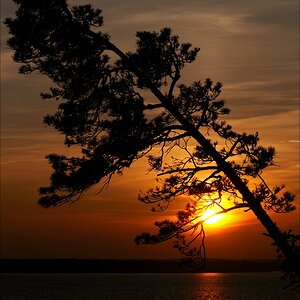 comp Usedom Okt 2592