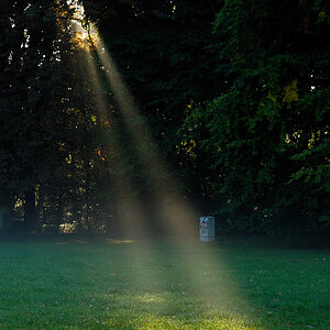 Licht im Nebel 2