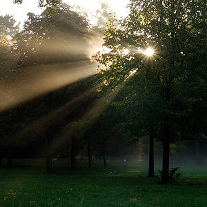 Licht im Nebel 3