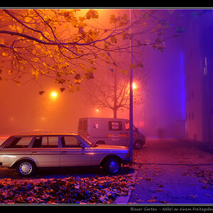 Blauer Garten im Nebel
(Photo-Nachbearbeitung: Keine; ausschl. Ausschnitt&Rahmen, GIMP)