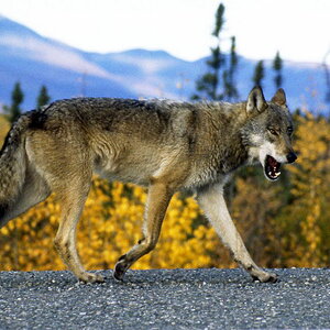 img016.A4.900x636