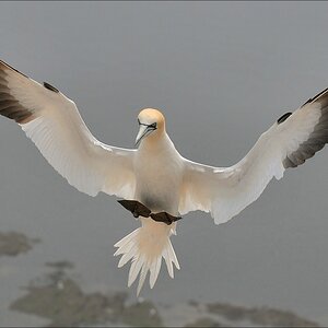 comp Helgoland 2008 04169