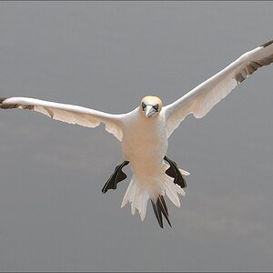 comp Helgoland 2008 04140