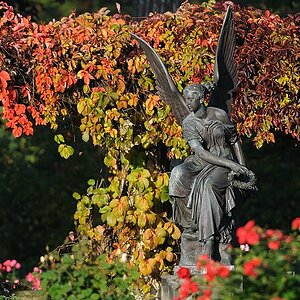 20081005 083934 D03 1350