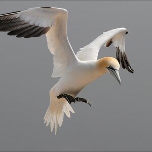 comp Helgoland 2008 04157