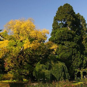 20081019 132843 D30 7490