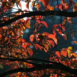 20081019 135806 D30 7525