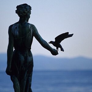 Gruß Opatija 9 low