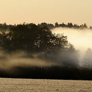 Addasnäs morgondimma 2 NFF