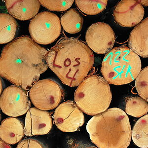 holz1