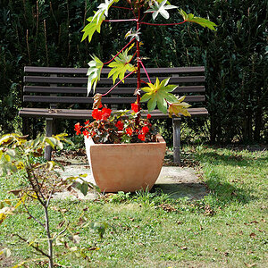 55-200/4-5.6G ED VR Nikkor: Ruhebank mit Blumenkübel
D80, ISO 160, WB Sonne, f/8, 1/200s, 55 mm