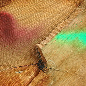 holz2