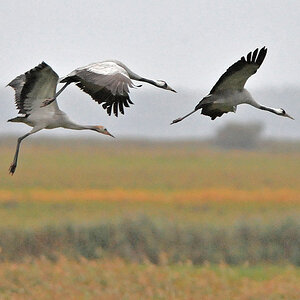 Img2009 10 15 16 54 41 1