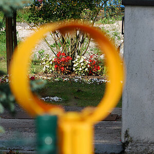55-200/4-5.6G ED VR Nikkor: Durchblick
D80, ISO 160, WB Sonne, f/16, 1/125s, 200 mm