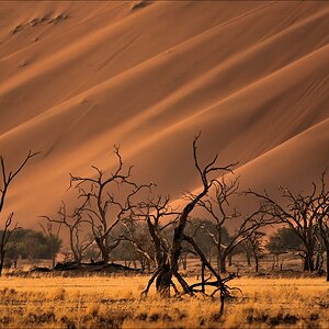 comp Namibia 09 01357
