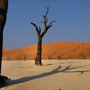 comp Namibia 09 01577