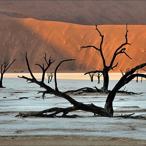 comp Namibia 09 01830